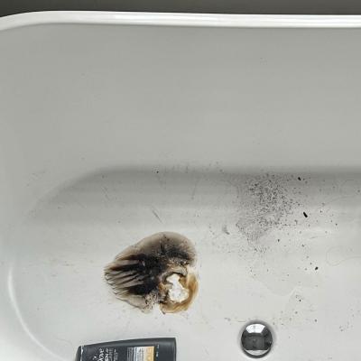Bathtub Repairs In Toronto Gta 7